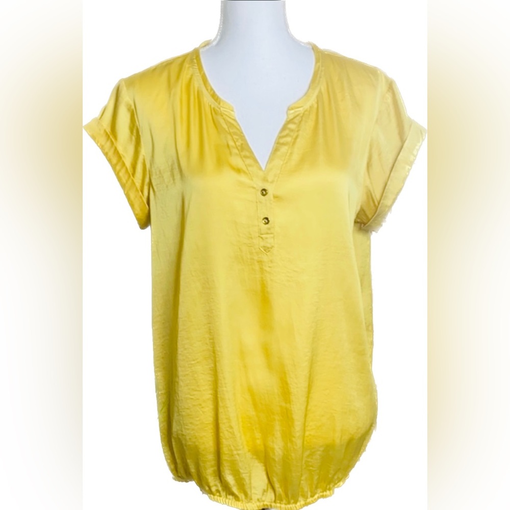 The Limited Blouse